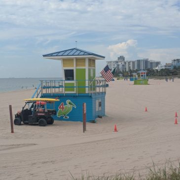 Surviving a Florida Summer: The Maintenance Your Car Actually Needs Right Now